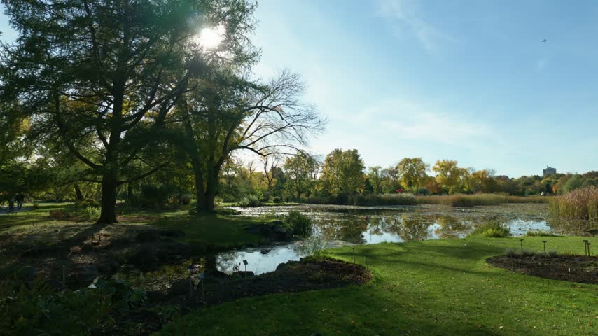 Trees reflected in a pond frame a landscaped view of Montreal Botanical Garden, with lawns, reeds and planting beds along the water.