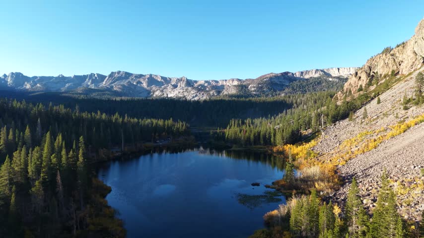 Twin Lakes bordered by conifer forest, rocky cliffs and yellow autumn foliage under blue sky, aerial ascend reveal establishing