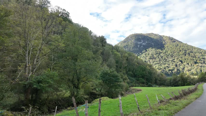 Tree covered hills and green pastures with old wooden fence.