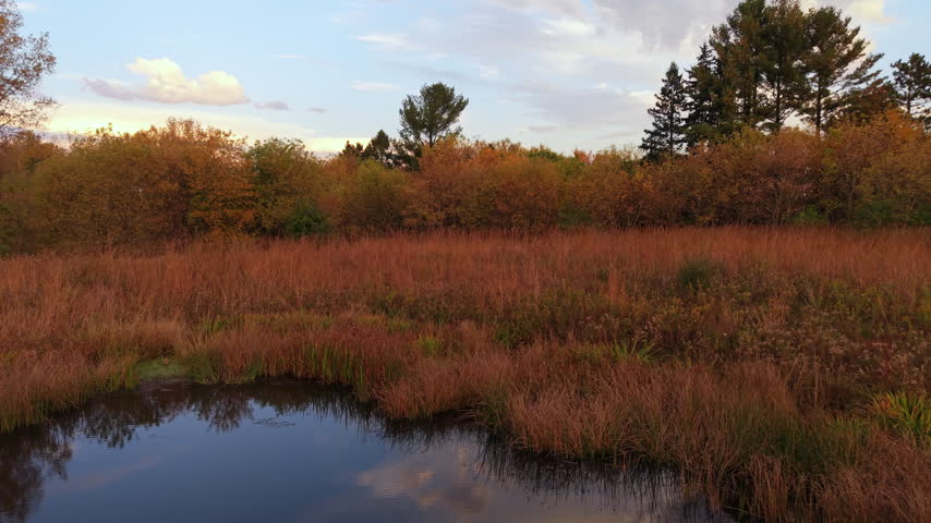 Pull back shot of trees and clouds reflecting in a pond bordered by reeds, grasses and colorful shrubs, with a vegetated strip separating adjoining water, in Wisconsin fall foliage