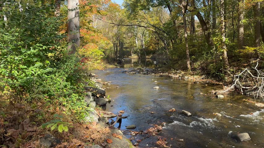 River Rapids of.a Mountain Stream in Fall