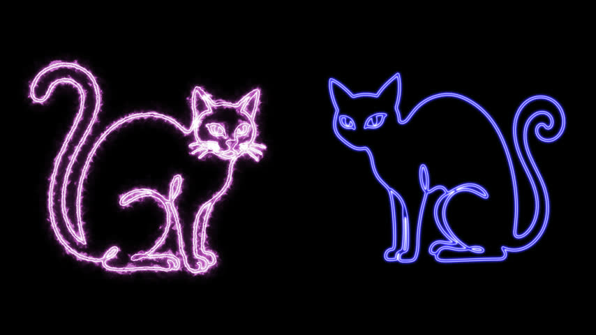 A mysterious sitting black cat drawn with clean black outlines on a pure white background. Suitable for Halloween invitations, spooky seasonal graphics, pet-themed holiday designs, and animated stock footage.