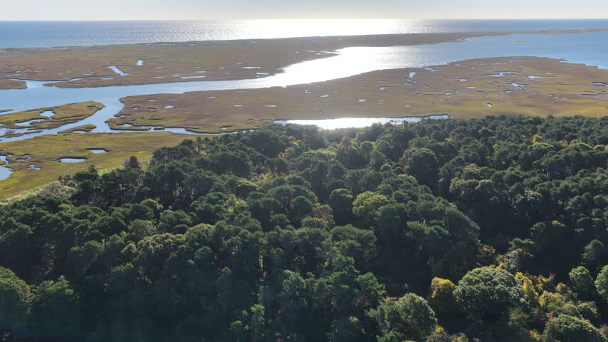Morning sunlight shines on an extensive salt marsh in Orleans, Cape Cod, MA. Salt marshes are an incredibly important coastal habitat used by many species of fish, birds, and shellfish.