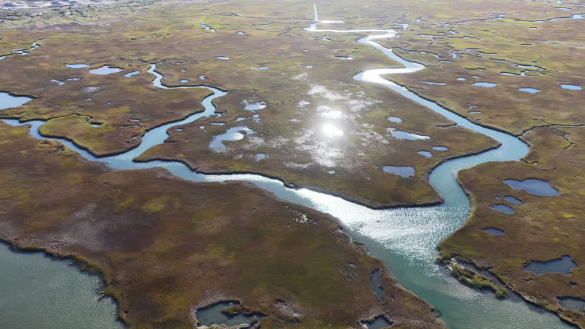 Morning sunlight shines on an extensive salt marsh in Orleans, Cape Cod, MA. Salt marshes are an incredibly important coastal habitat used by many species of fish, birds, and shellfish.