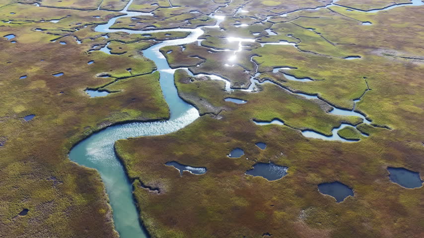 Morning sunlight shines on an extensive salt marsh in Orleans, Cape Cod, MA. Salt marshes are an incredibly important coastal habitat used by many species of fish, birds, and shellfish.