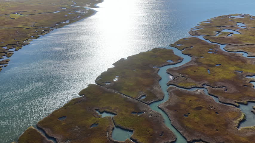 Morning sunlight shines on an extensive salt marsh in Orleans, Cape Cod, MA. Salt marshes are an incredibly important coastal habitat used by many species of fish, birds, and shellfish.