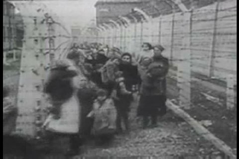 1940s - Survivors of the Holocaust are discovered by Allied forces at concentration camps after World War 2