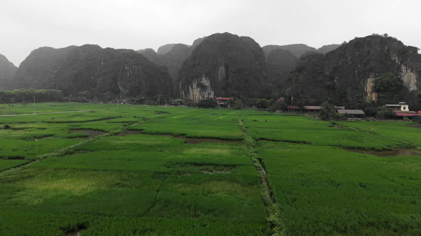 An aerial view travels over rice fields divided by narrow paths and water channels with karst hills and homes beyond in Tam Coc Vietnam during daylight.