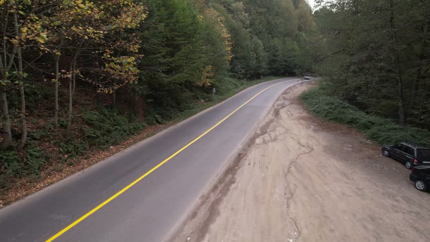 Paved two lane road curving gently through dense woodland, with autumn leaves and tall roadside trees surrounding the asphalt, in a natural landscape.