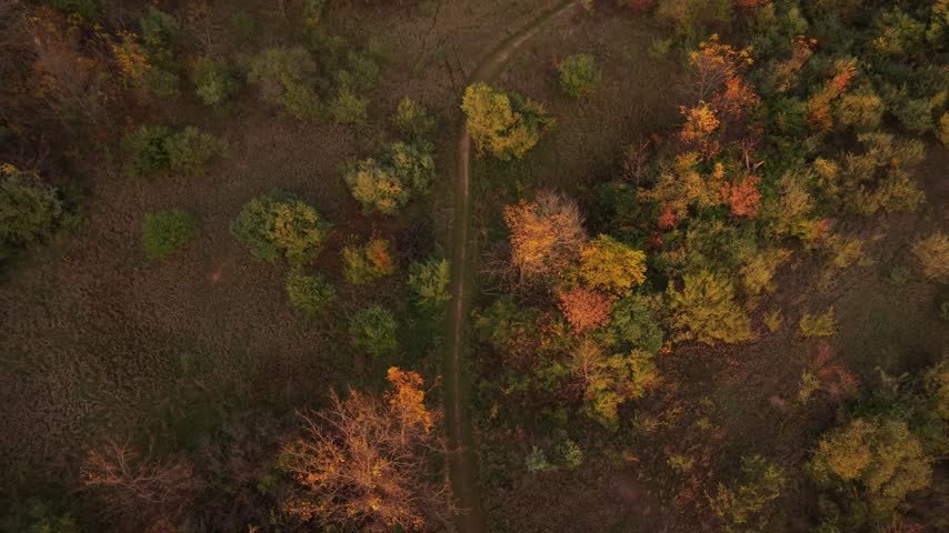 Aerial top down view of narrow dirt trail passing through autumn woodland with colorful foliage, scattered bare branches and an open field along the forest edge in northern Wisconsin