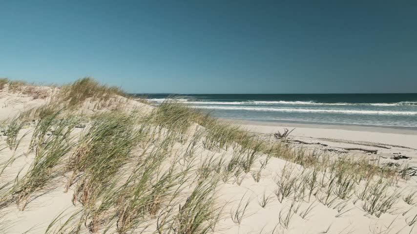 Slow motion detailed shot of white sand dunes with grass growing and offshore winds blowing over beach and shoreline with waves rolling in from the blue ocean on a bright summers day