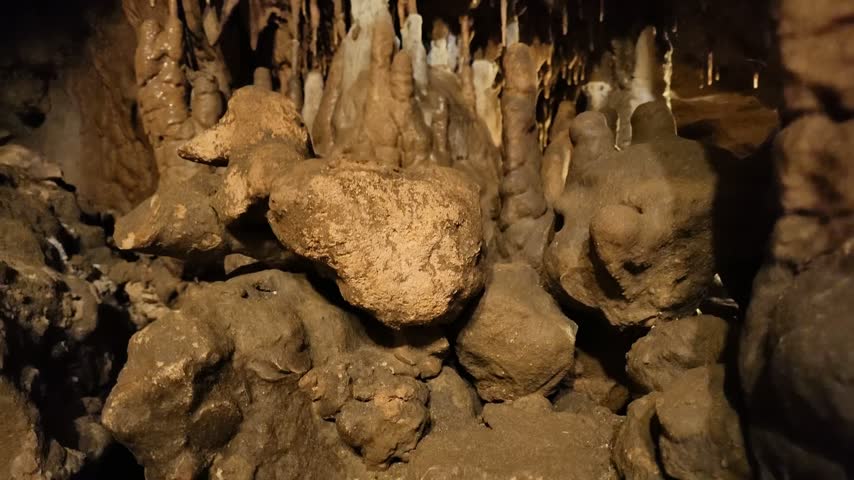 Static close-up of a brownish cave rock formation resembling a duck or bird on a nest in warm golden orange light, with small stalagmites and stalactites in the dark background, Marianna, Florida.
