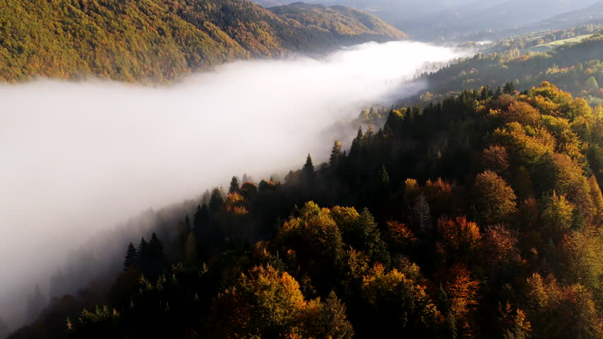 Aerial view panning sideways over fog filling autumn mountain valley
