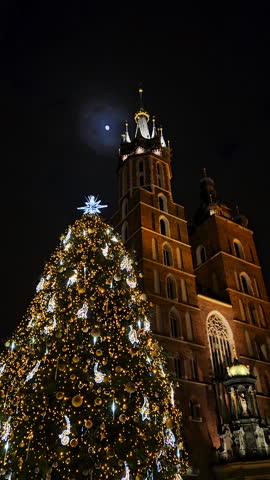 Vertical shot of a tall glowing Christmas tree standing in front of the iconic St. Mary