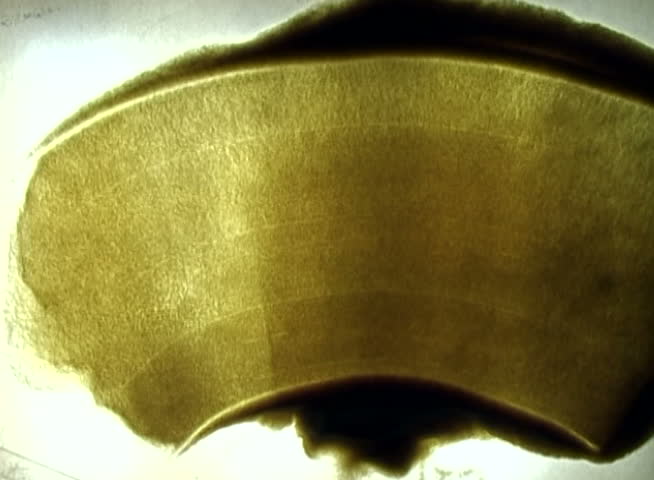 rocket signs on sand