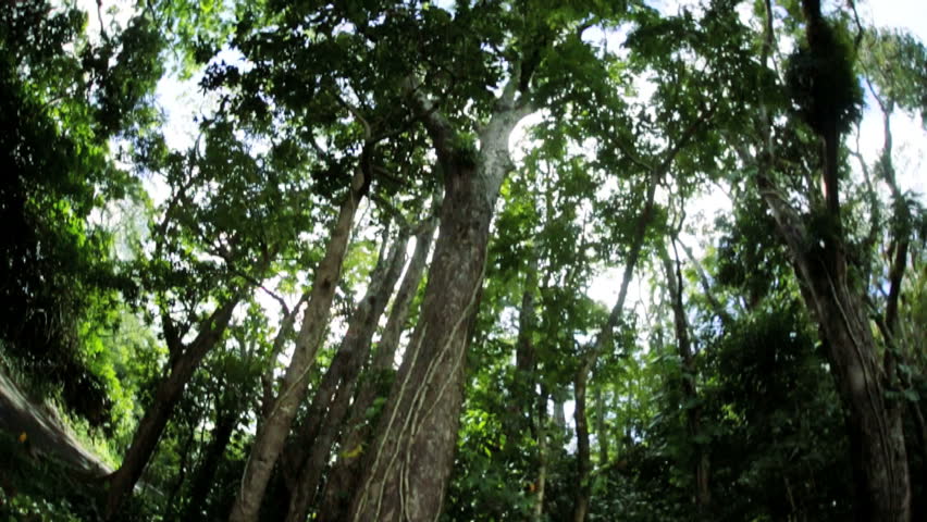 COVASA Mens Summer ShortsDinosaur The Jungle Trees Forest Nature Woods Scary P