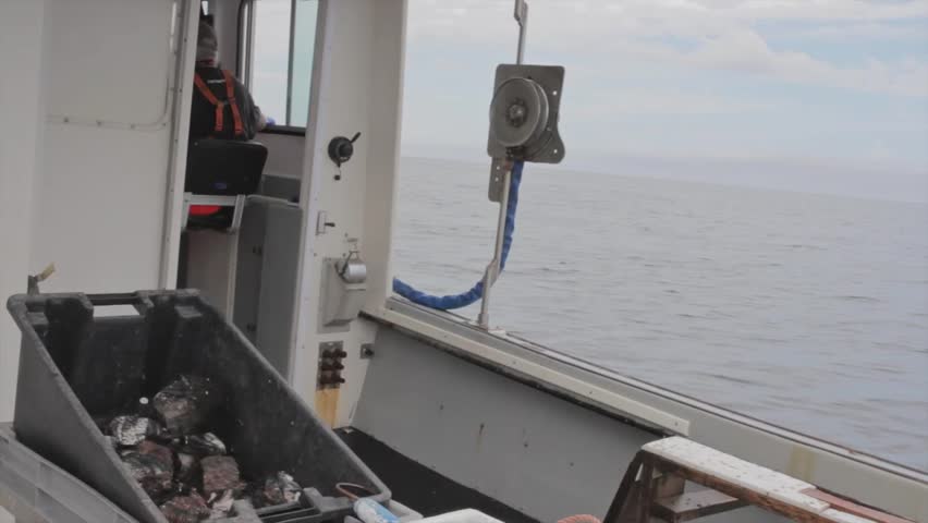 A captain steering his boat while lobster fishing