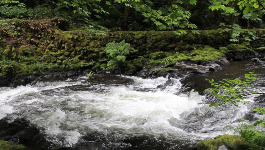Cedar Creek in Woodland Washington is a Beautiful Stream Home to the Historic Grist Mill that Harnessed Hydro Power from it 1920x1080