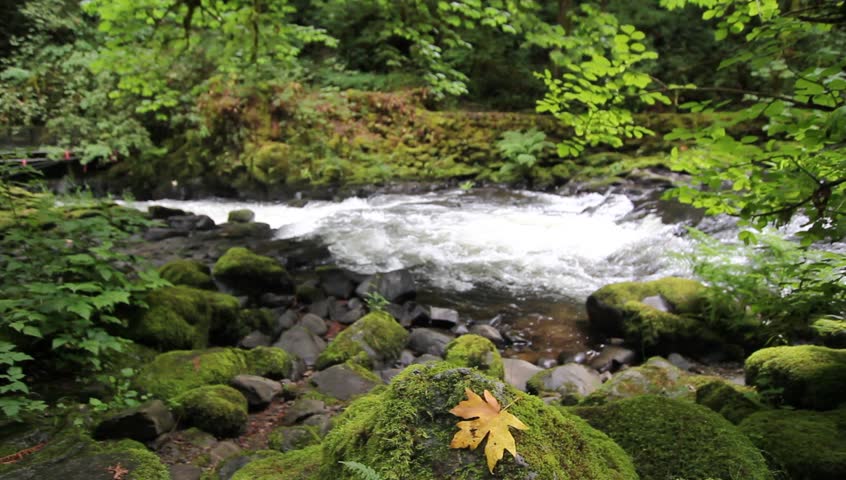 Cedar Creek in Woodland Washington is a Beautiful Stream Home to the Historic Grist Mill that Harnessed Hydro Power from it 1920x1080