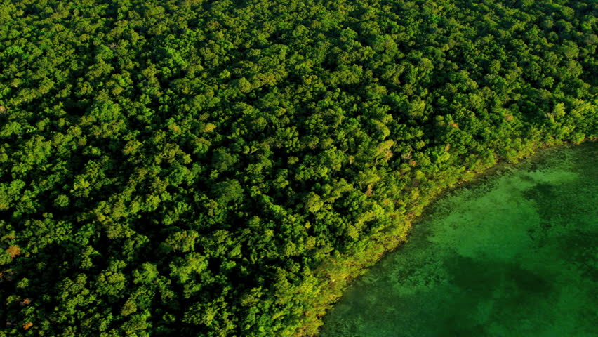 Aerial view showing distinct ecosystems of flora and fauna Southern Everglades, Florida, USA