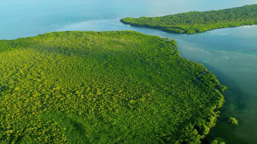 Aerial view of coastal lagoon waters, Southern USA