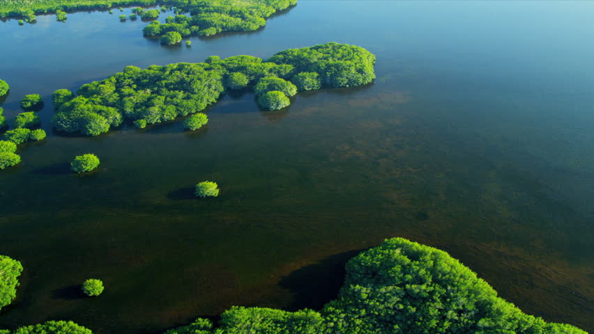 Aerial view showing distinct ecosystems of flora and fauna Southern Everglades, Florida, USA