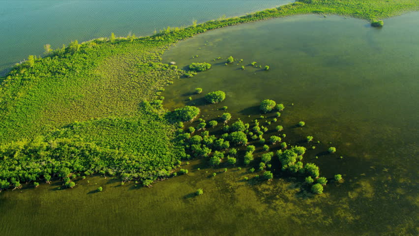 Aerial view showing distinct ecosystems of flora and fauna Southern Everglades, Florida, USA