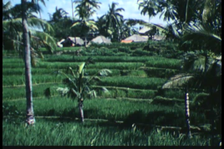 1950s - Indonesia emerges as a new nation in the 1950s.