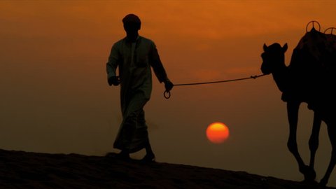 Arab male traditional headdress robe walking his camels over desert sand dunes silhouette sunset shot on RED EPIC