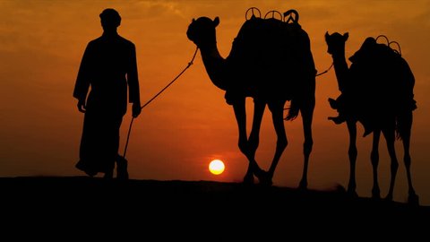 Arab male traditional headdress robe walking his camels over desert sand dunes silhouette sunset shot on RED EPIC