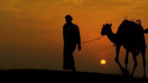 Middle eastern male leading his camels through desert sunset silhouette shot on RED EPIC