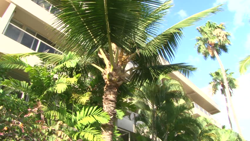 Scenic at tropical resort in Hawaii.