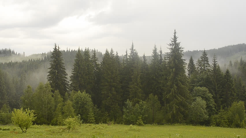 fog in the mountains in the evening, timelapse