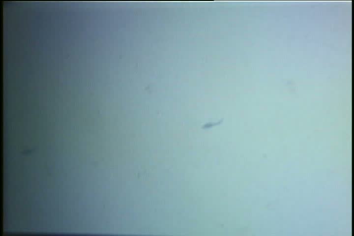 1970s - Home movie style footage of flooding in Harrisburg Pennsylvania in 1972.