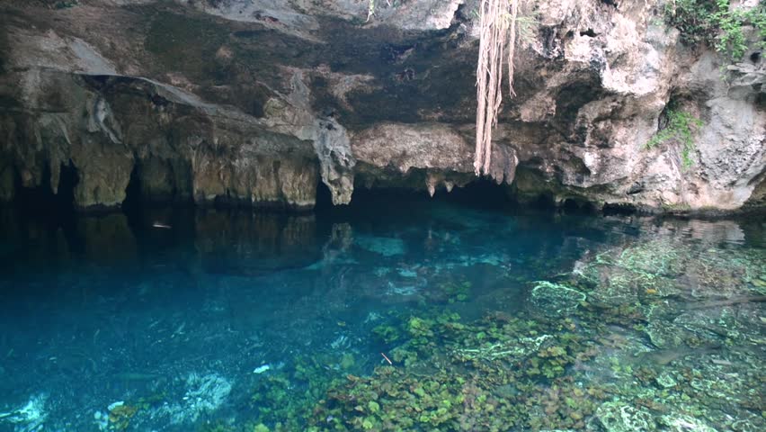 Sacred Mayan Cenote in Yucatan Stock Footage Video (100% Royalty-free ...