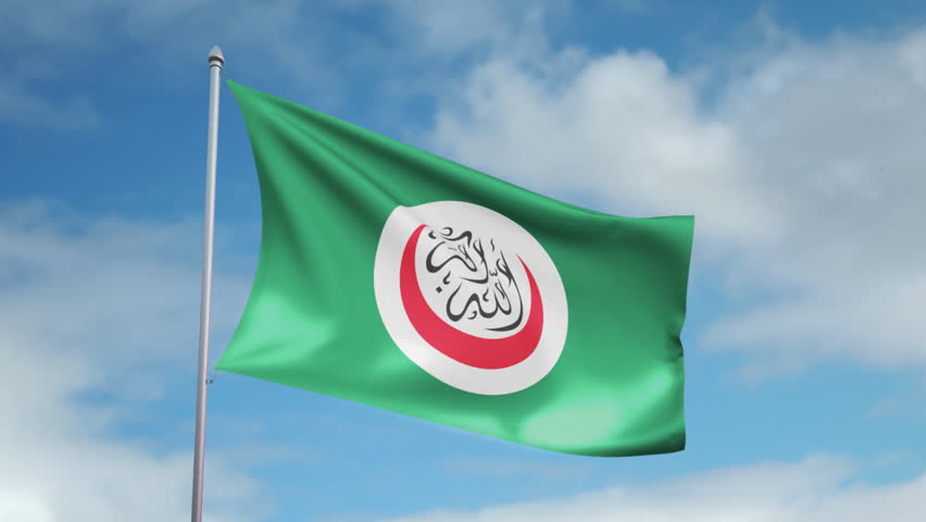 HD 1080p clip with a slow motion waving flag of the Organization of the Islamic