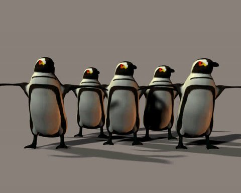 A chorus line of dancing penguins Stock Video