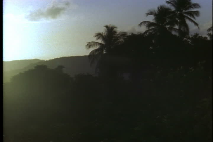 Silhouettes of palm tree tops and rolling hills at dawn in Puerto Rico.