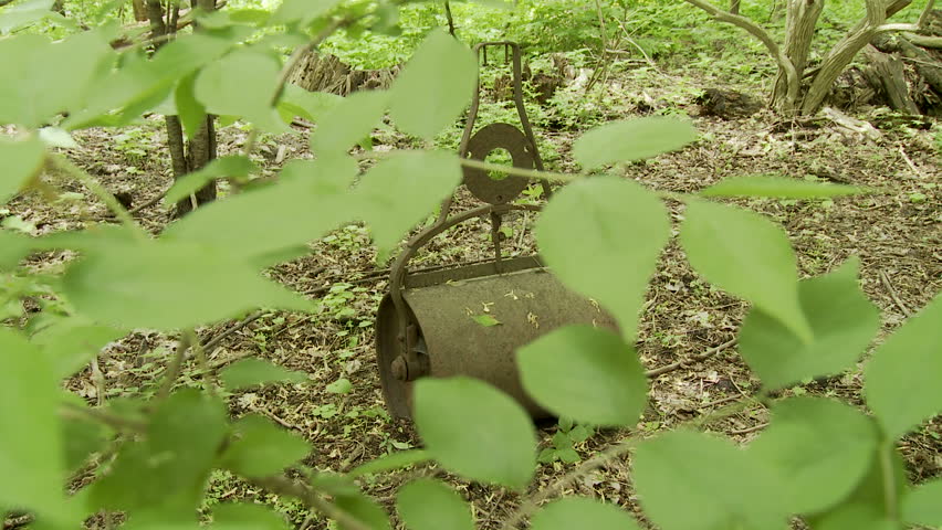 Camera tracks out from behind leaves to reveal an old garden roller in a