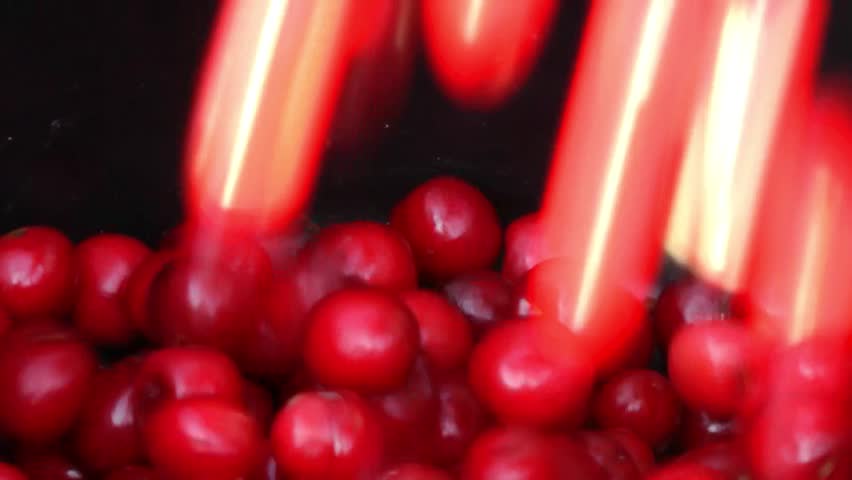 Harvesting red cherries and putting them in the bucket, close up view.