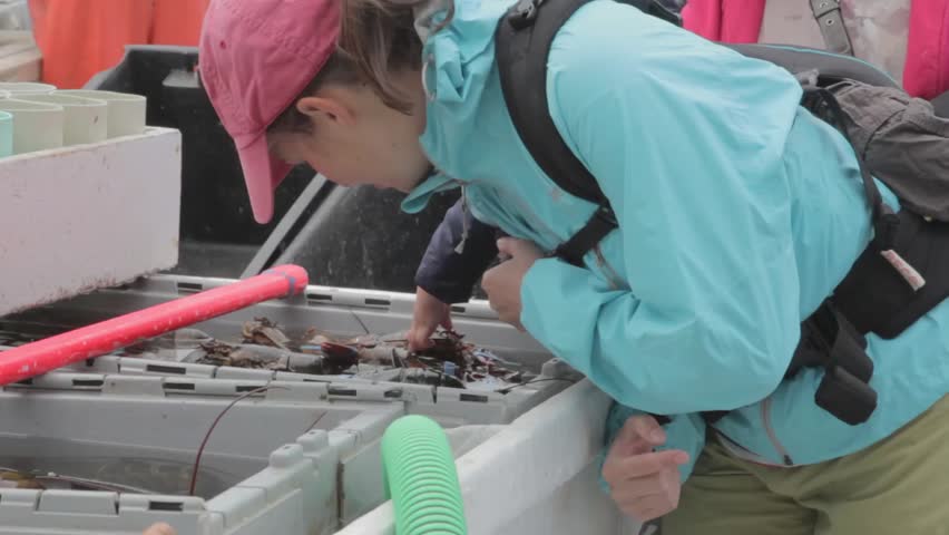 A woman lets her baby boy touch freshly caught lobsters on a boat