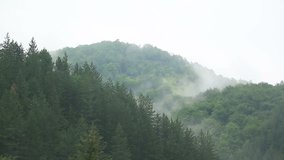 Time lapse video of moving fog in the mountain