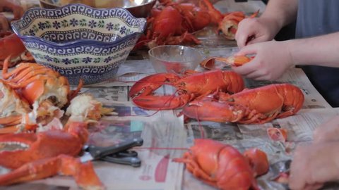 People preparing fresh lobster for dinner