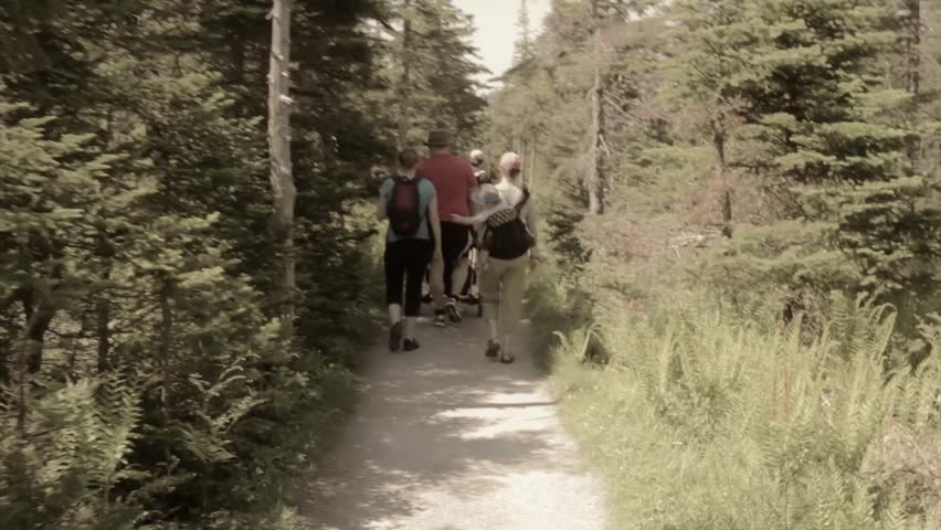A young family with toddlers hiking along the skyline trail in Cape Breton Nova