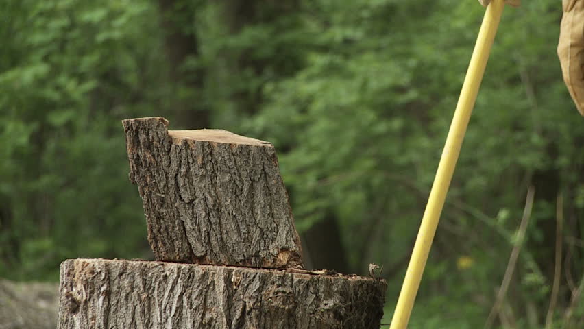 Close up of a log being split in two with an axe.  Overcranked slow motion.