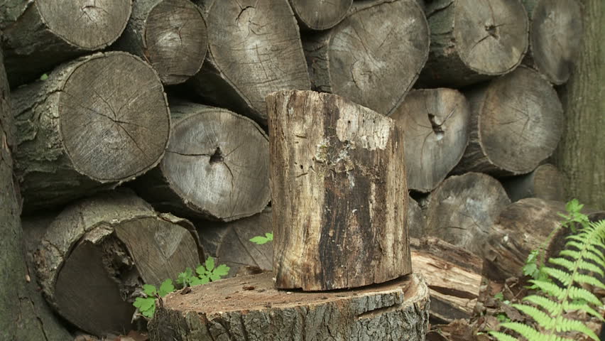 Close up of a log being split in two with an axe.  Overcranked slow motion. 