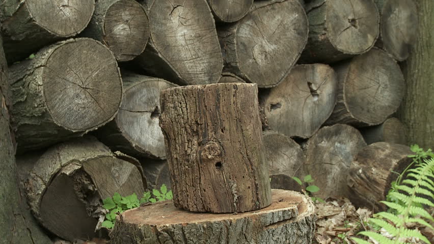 Close up of a log being split in two with an axe.  Overcranked slow motion. 