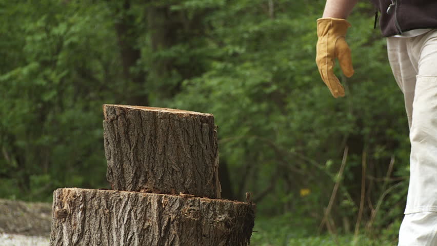 Close up of a log being split in two with an axe.  Slow motion.