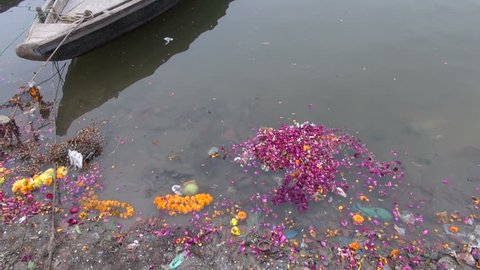 flowers after ritual in dirty Ganges river water, Varanasi,India