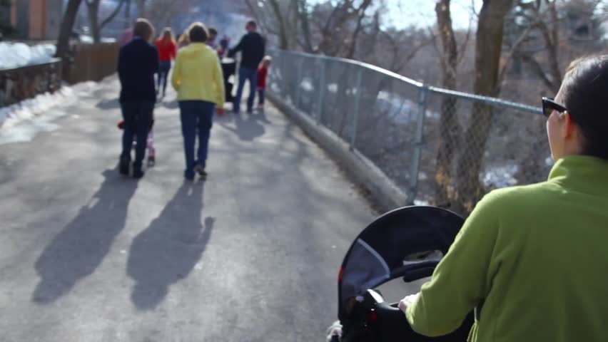 A woman pushes her toddler in a stroller at a busy zoo